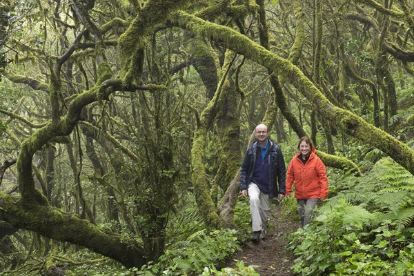 Couple hiking in the cloud forest