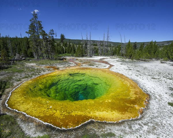 Morning Glory Pool