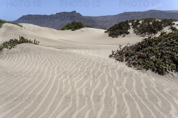 Sand dunes on Famara beach