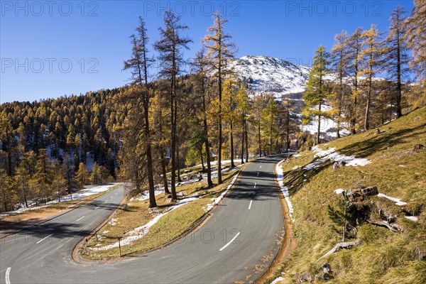 Albula pass road