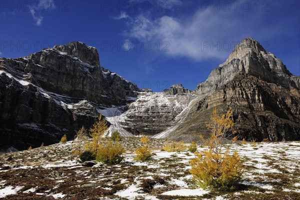 Hike from Moraine Lake to Larch Valley