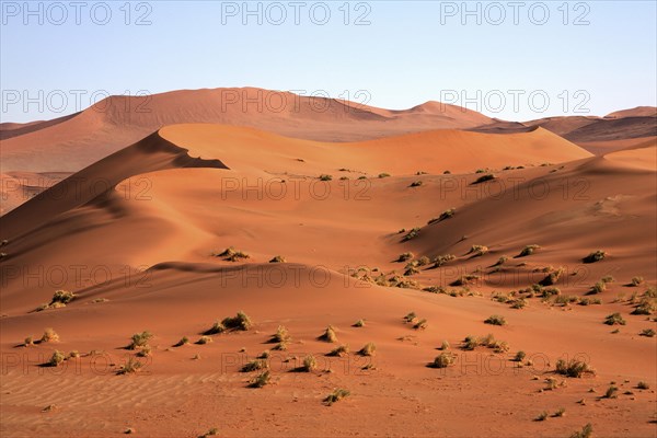 Sand dunes