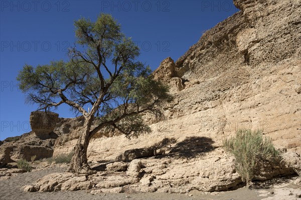 Sesriem Canyon