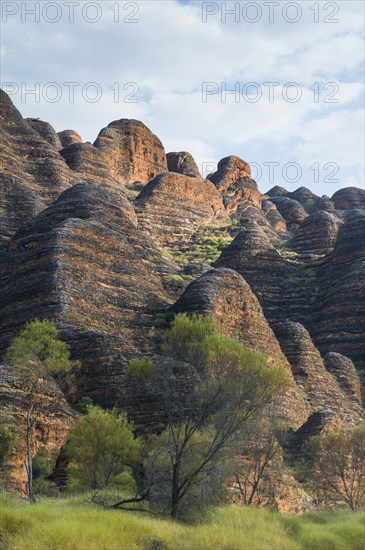 Bungle Bungles