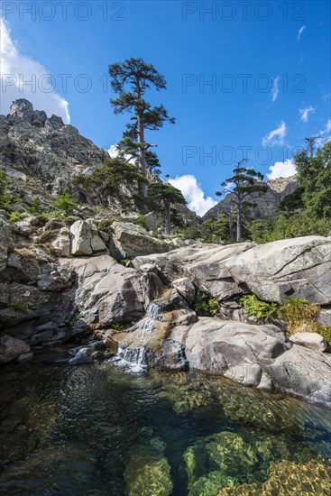 Pool and small waterfall in the mountains