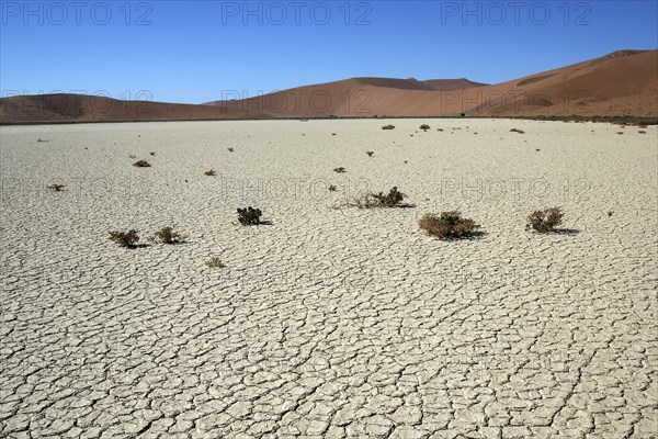 Hidden Vlei