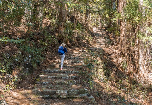 Hiker on a stony path through forest