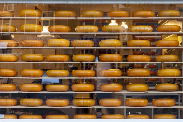 Cheese wheels in a shop