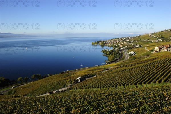 The vineyards of Lavaux on Lake Geneva