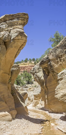 Hiking trail through Willis Creek Canyon