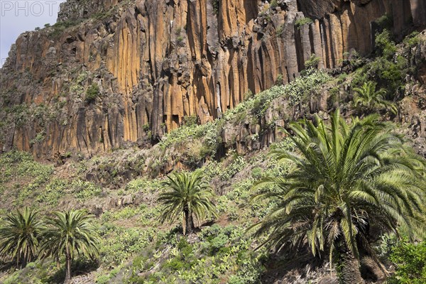 Basalt columns