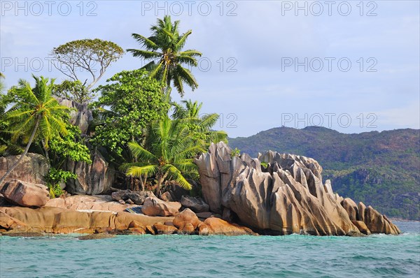 Coast with palm trees on eroded rocks