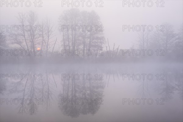 Sunrise in the fog at a pond