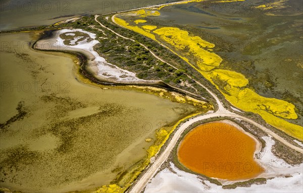Salt patterns on the surface of salt marshes
