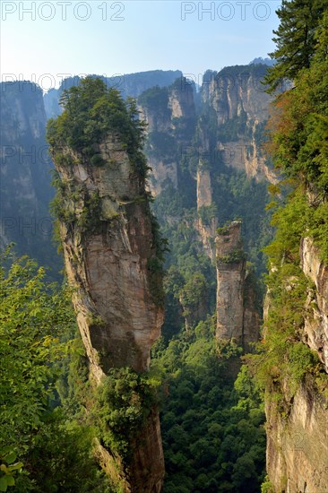 Avatar' mountains with vertical quartz sandstone rocks