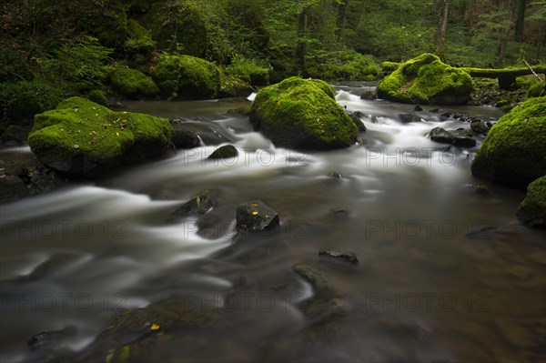 Stream