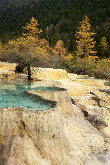 Lime terraces with lakes in autumnal environment