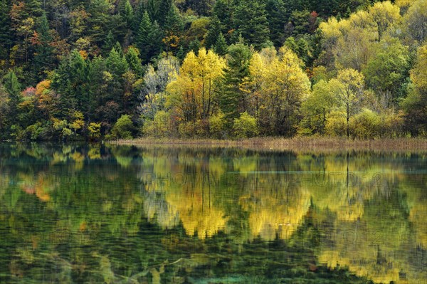 Five Flower Lake in autumnal environment