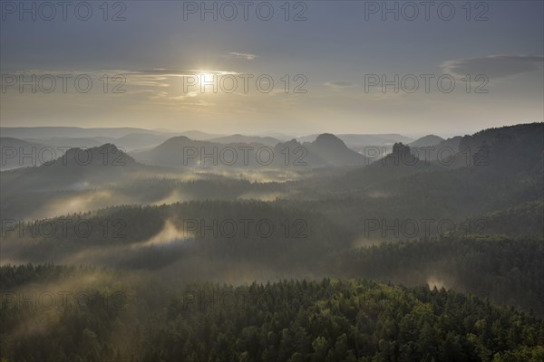 Fog at sunrise