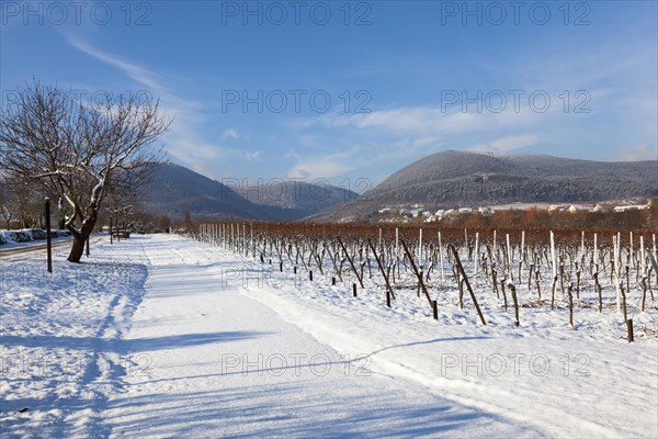 Wintry landscape