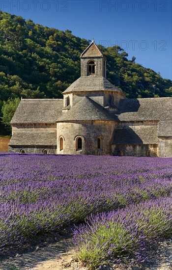 The Romanesque Cistercian Abbey of Notre Dame of Senanque