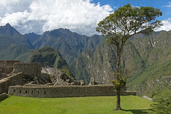 Ruins of Machu Picchu