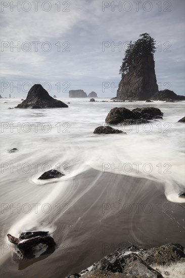 Sea stack on Second Beach in Olympic National Park