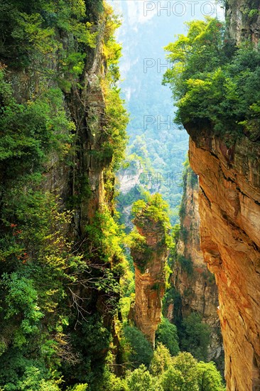 Avatar Mountains with vertical quartz-sandstone pillars