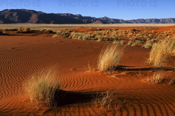 Southern foothills of the Namib desert