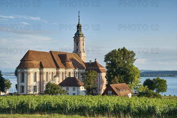 Pilgrimage church Birnau with vineyards