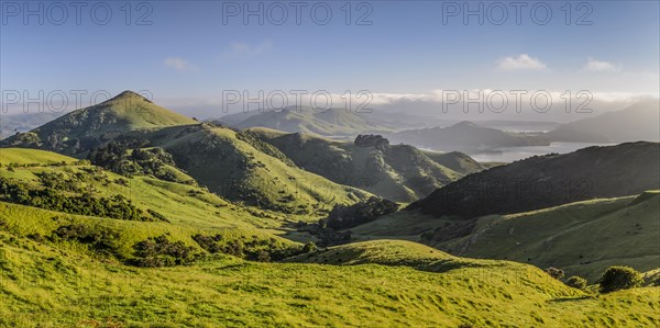 Green hilly grasslands with view of Hoopers Inlet