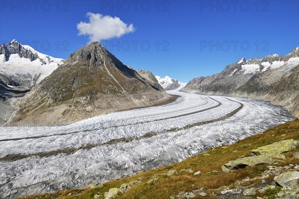 Great Aletsch Glacier