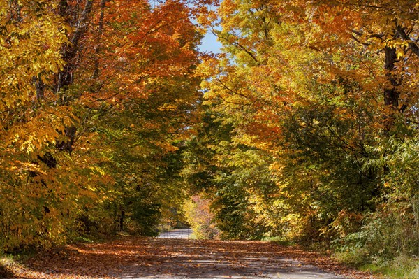 Dirt road in autumn