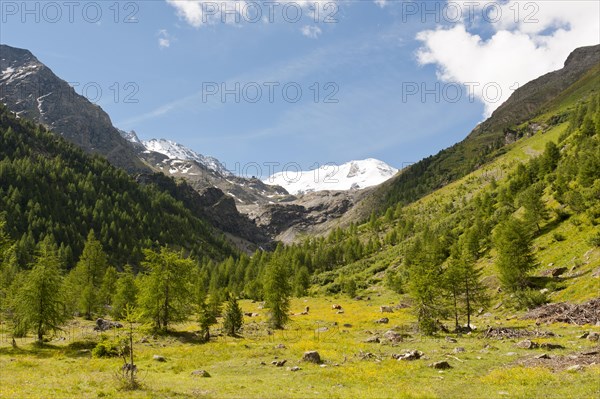 Suldental Valley