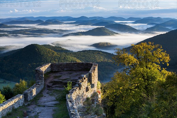 View of the Palatinate Forest from Wegelnburg Castle