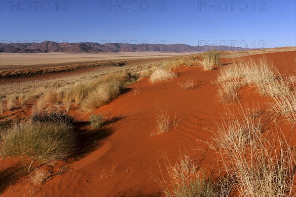 Southern foothills of the Namib desert