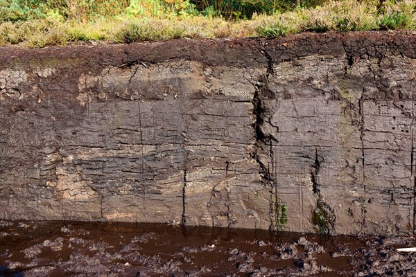 Old peat dig with a large layer of turf