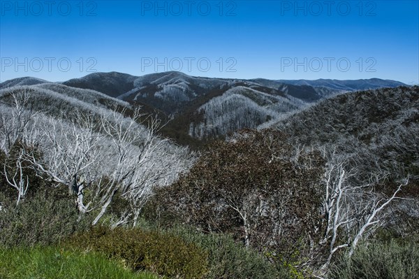 Overlooking the Victorian Alps mountain range