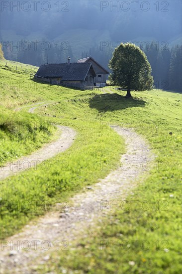 Gross Euchst Alm