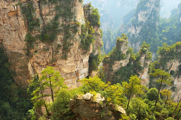 Avatar Mountains with vertical quartz-sandstone pillars