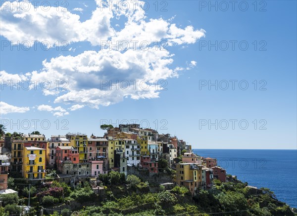 Corniglia