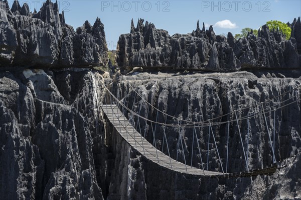 Suspension bridge over canyon