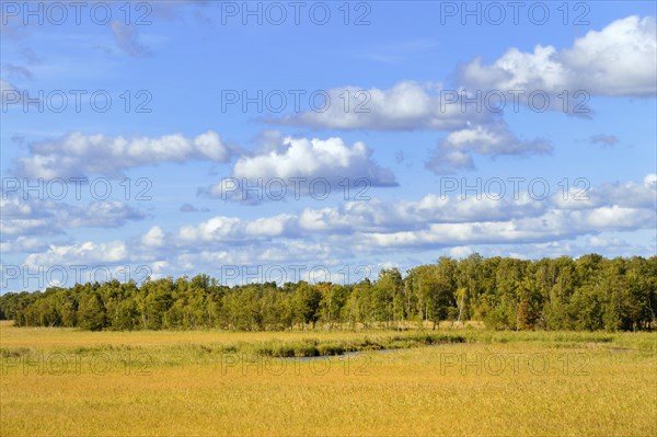 Wetlands of the Binnenmuritz inland lake