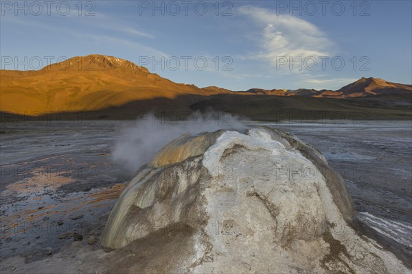 Geyser in the evening light