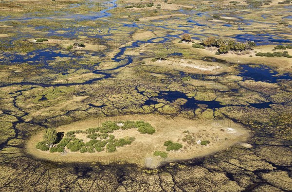 Typical landscape of freshwater marshes with streams