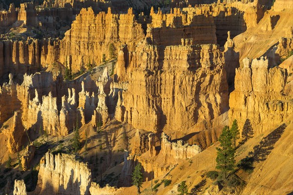 Rocks at Sunrise Point in the morning light