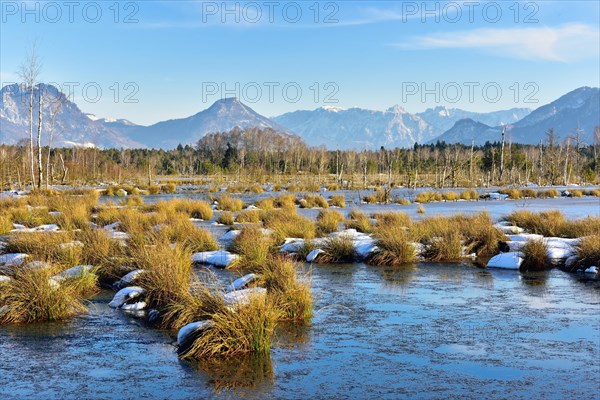 Moorlands in winter