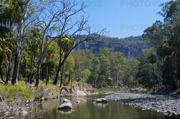 River flowing through the Carnarvon National Park