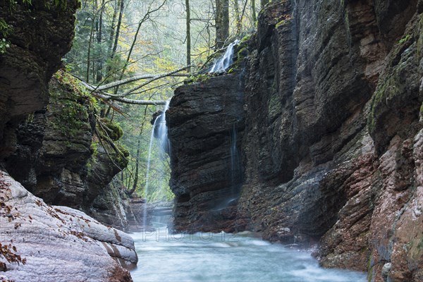 Taugl stream with waterfall