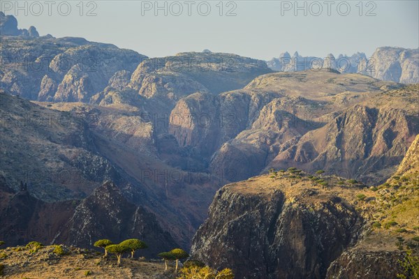 Huge canyon on the Dixsam plateau